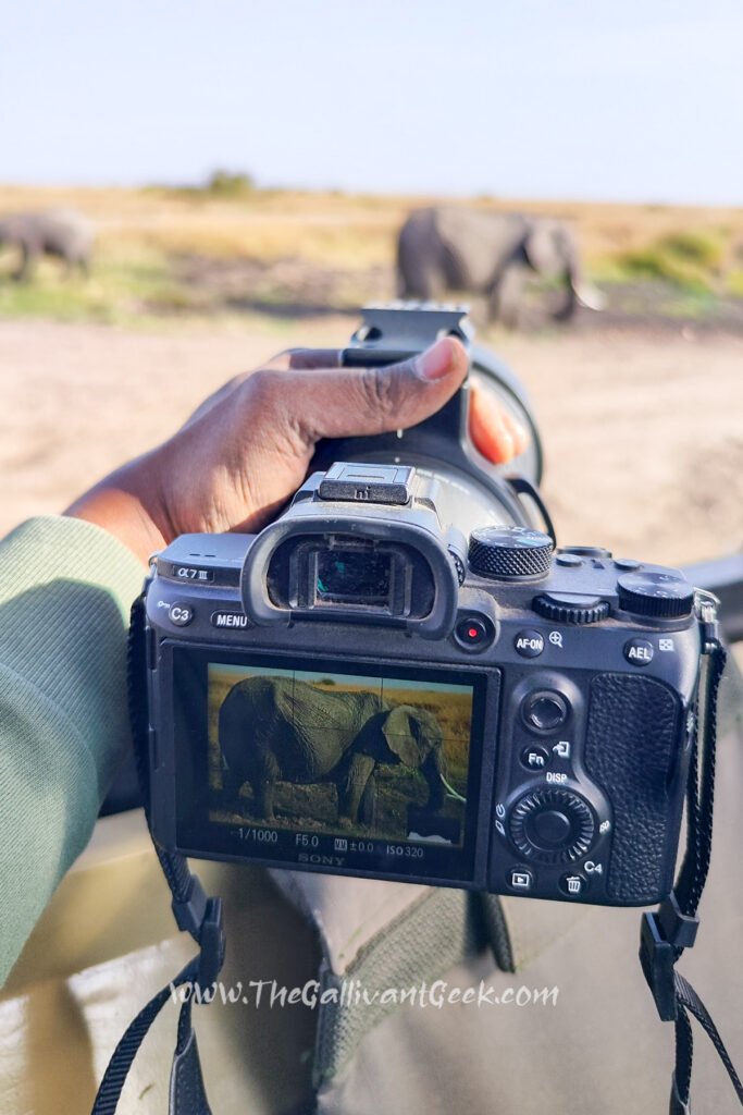 Sony A7III screen showing elephants in the Masai Mara