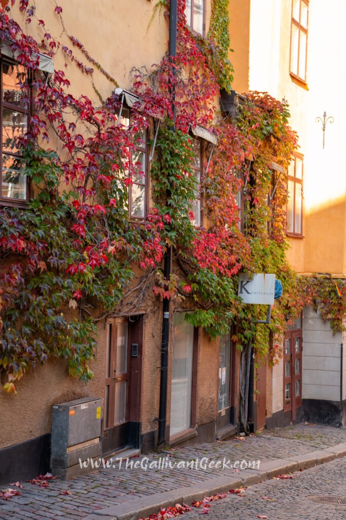 Autumn in Gamla Stan, Stockholm old town