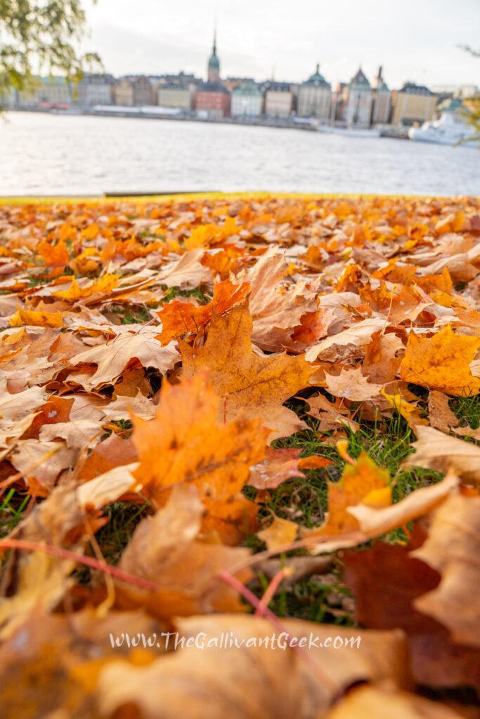 Autumn view from Skeppsholmen, Stockholm