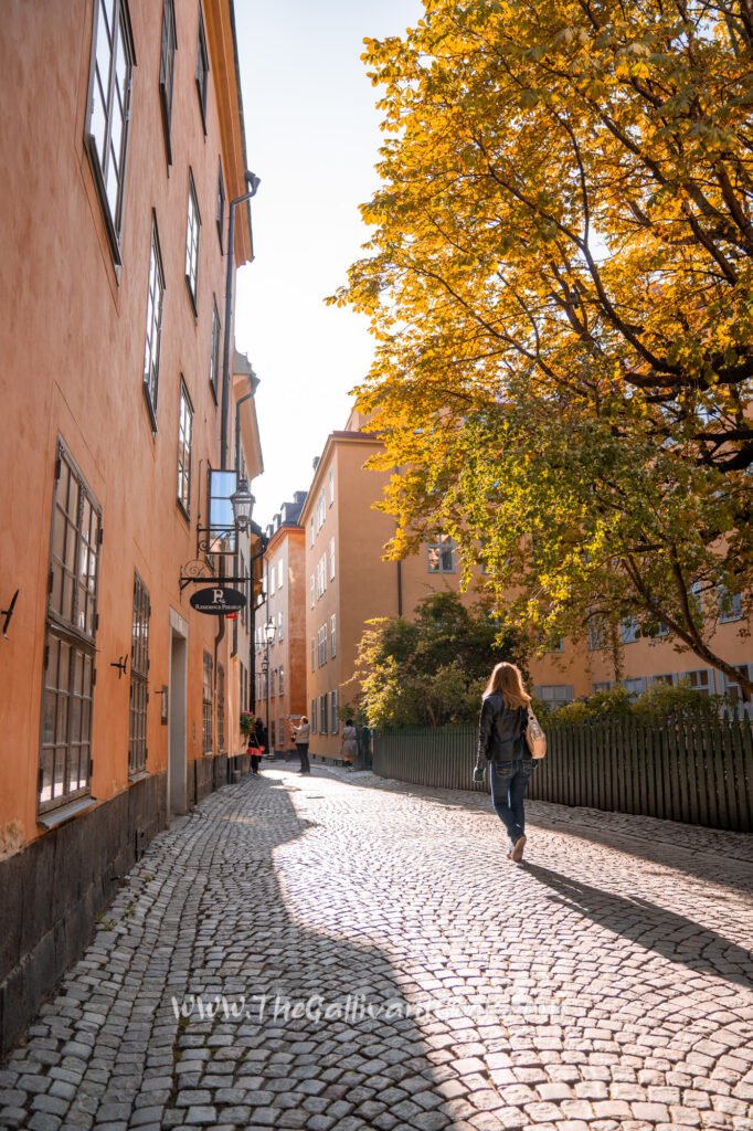 Gamla Stan lane with fall colours