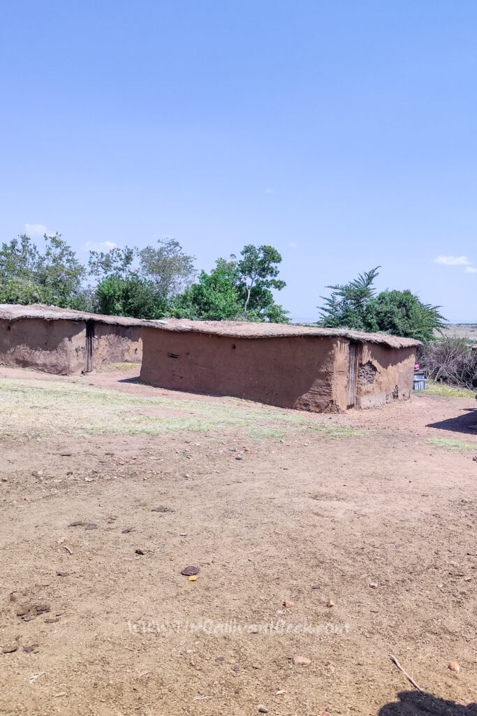 Low traditional Maasai houses made of mud and cow dung in the Masai Mara