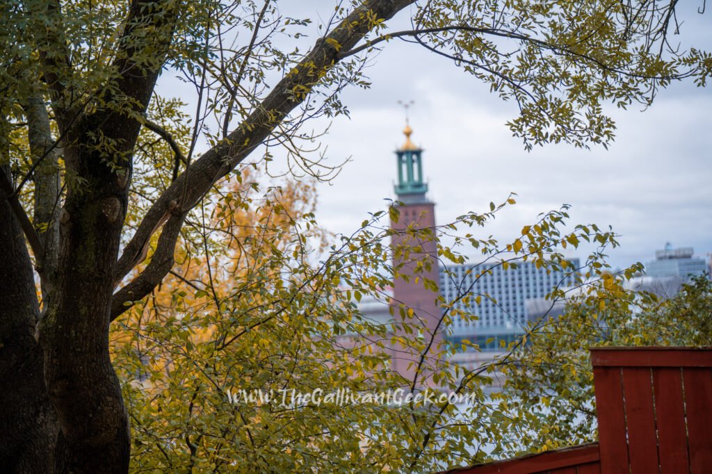 Monteliusvägen view of City Hall with autumn trees