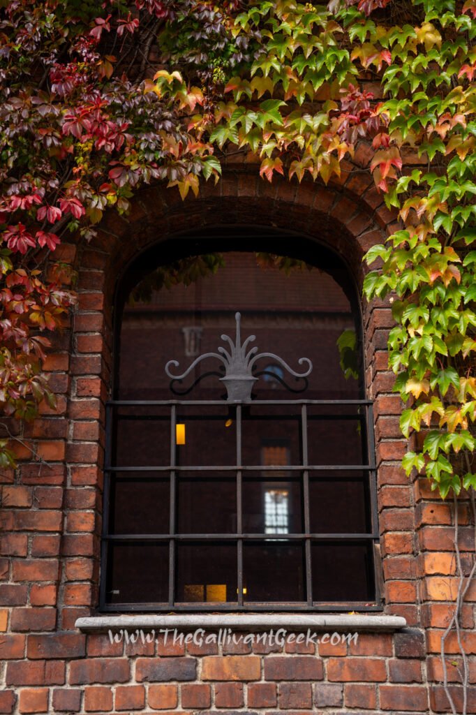 Stockholm City Hall tower framed by golden autumn trees