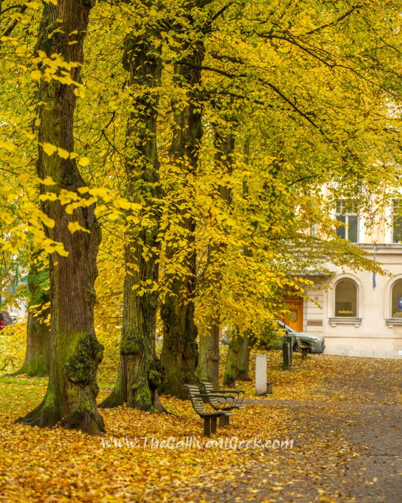Humlegården park in October, Stockholm