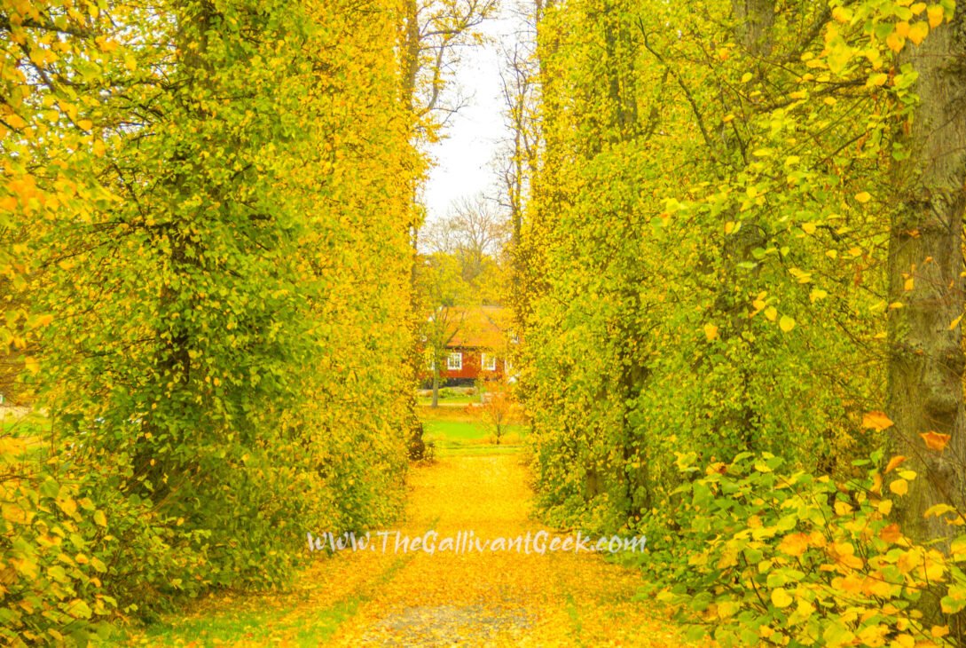 Stockholm in Autumn: 20 Best Photo Spots for Fall Colours (2026)