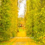 Stockholm in Autumn: 20 Best Photo Spots for Fall Colours (2026)