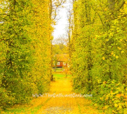Stockholm in Autumn: 20 Best Photo Spots for Fall Colours (2026)