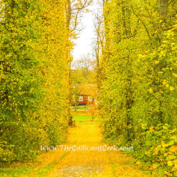 Stockholm in Autumn: 20 Best Photo Spots for Fall Colours (2026)