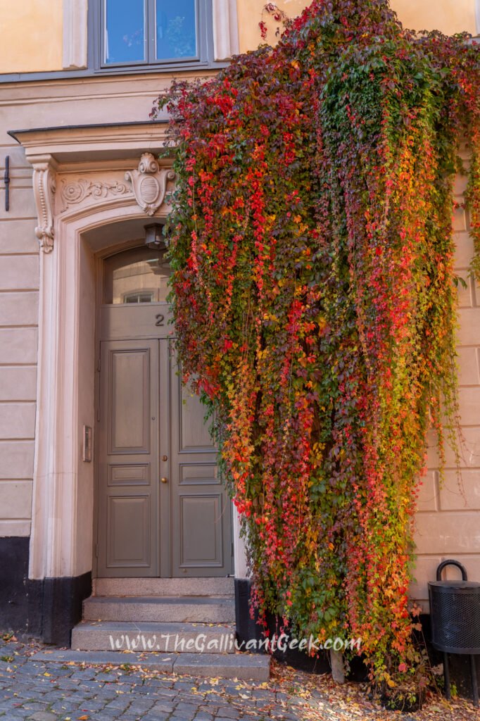 Colourful buildings in Gamla Stan during autumn in Stockholm
