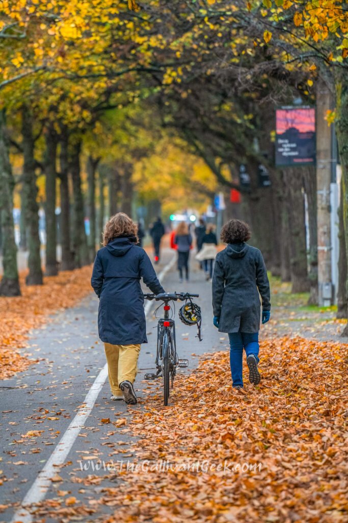 Strandvägen boulevard in autumn, Stockholm