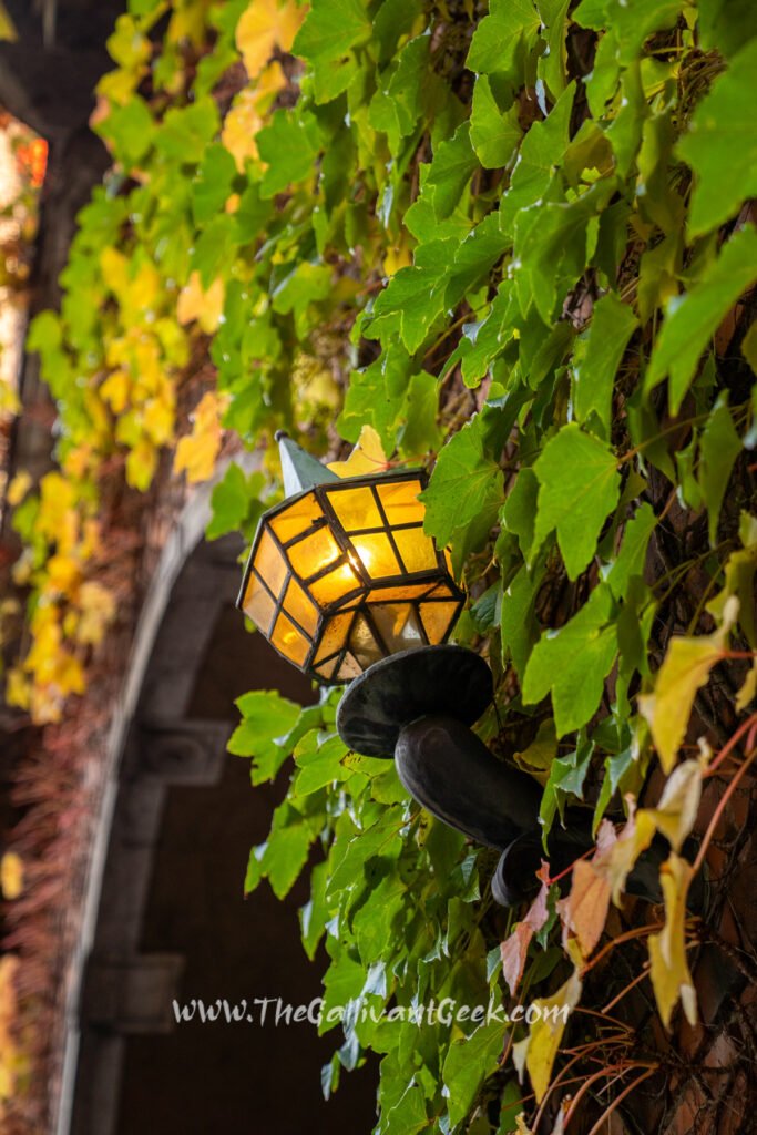 Fall colours at Stockholm City Hall (Stadshuset)