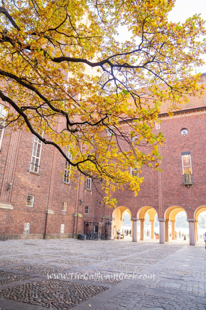 Autumn leaves in the Stockholm City Hall garden
