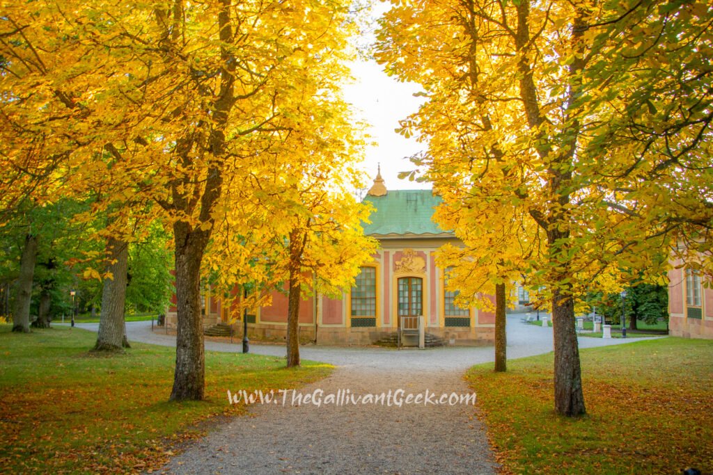 Drottningholm Palace and its tree avenues during autumn in Stockholm