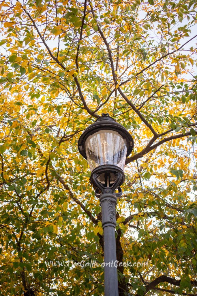 Fall colours in Kungsträdgården, Stockholm