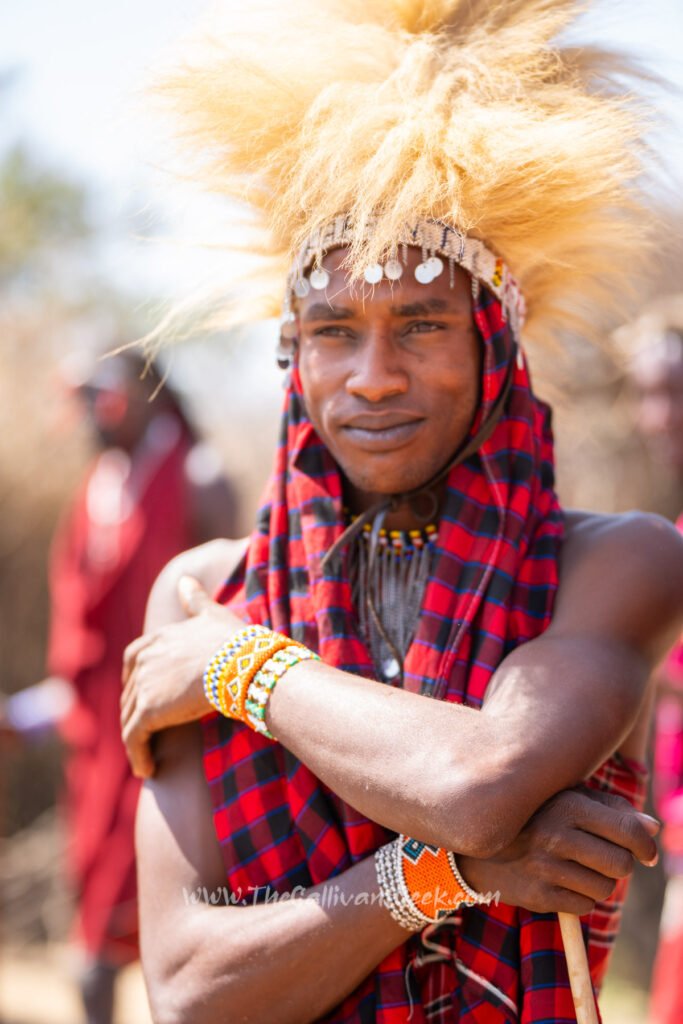 Maasai man wearing a traditional lion fur headdress and red shuka