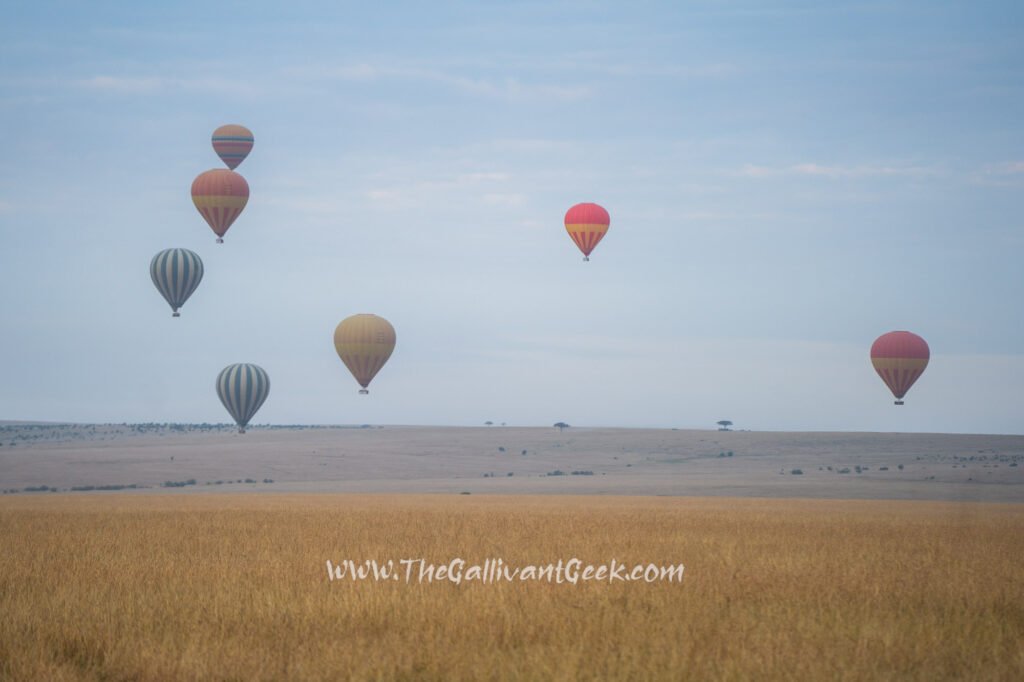 Hot air balloons floating over the Masai Mara at sunrise