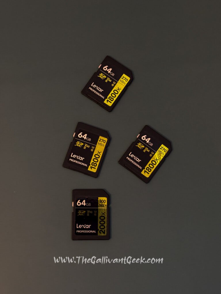 Four Lexar 64 GB SD memory cards used on a Kenya safari