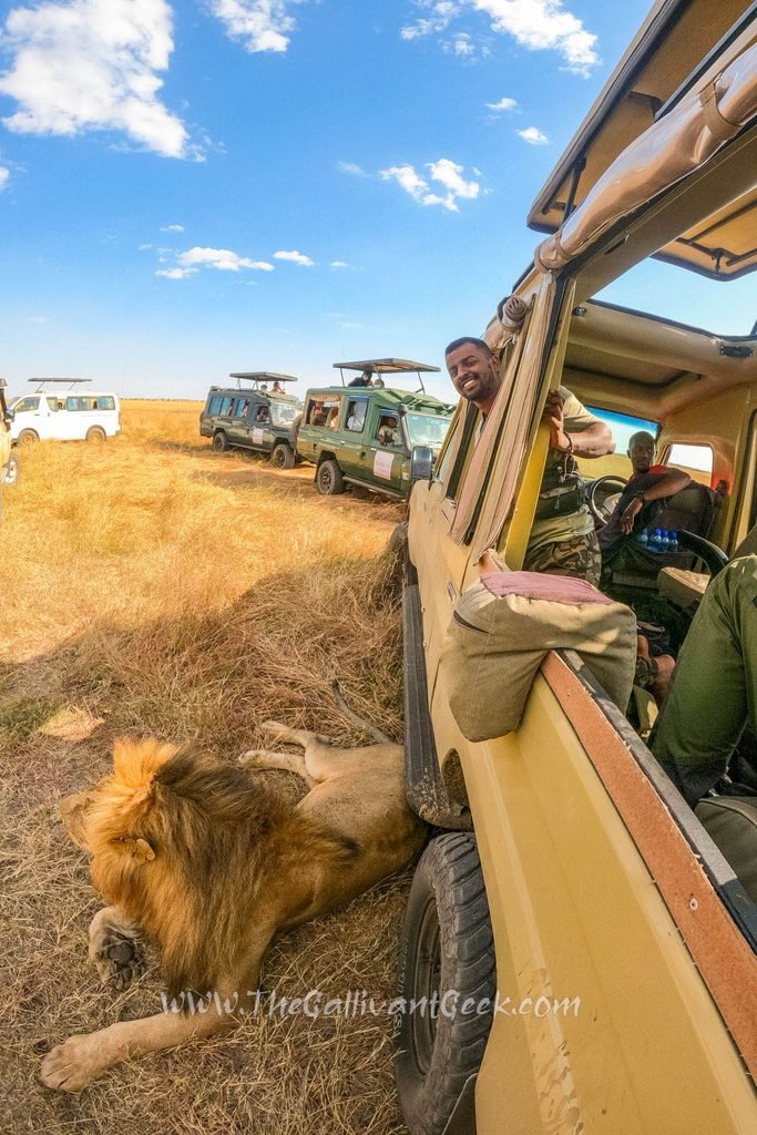 Lion lying right next to our open safari vehicle in the Masai Mara