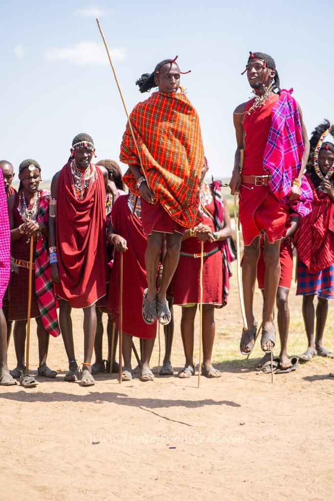 Maasai warrior jumping high during the adumu jumping dance