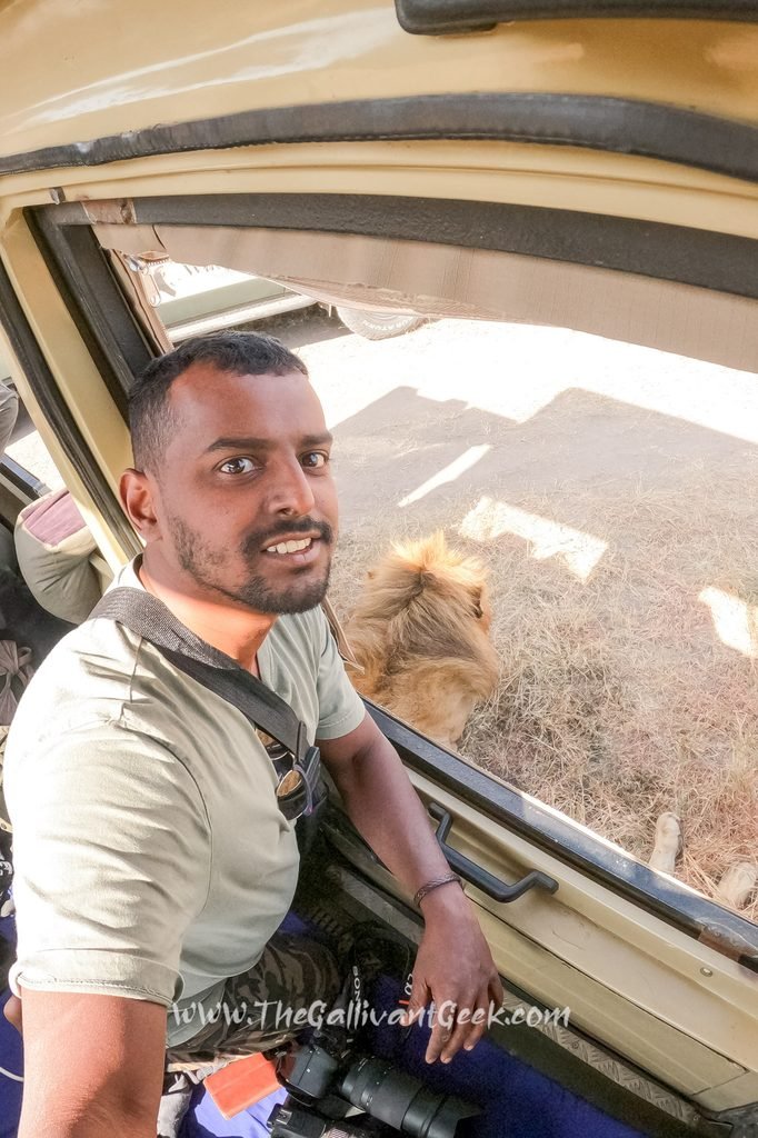 Selfie with a lion lying next to our safari vehicle in the Masai Mara