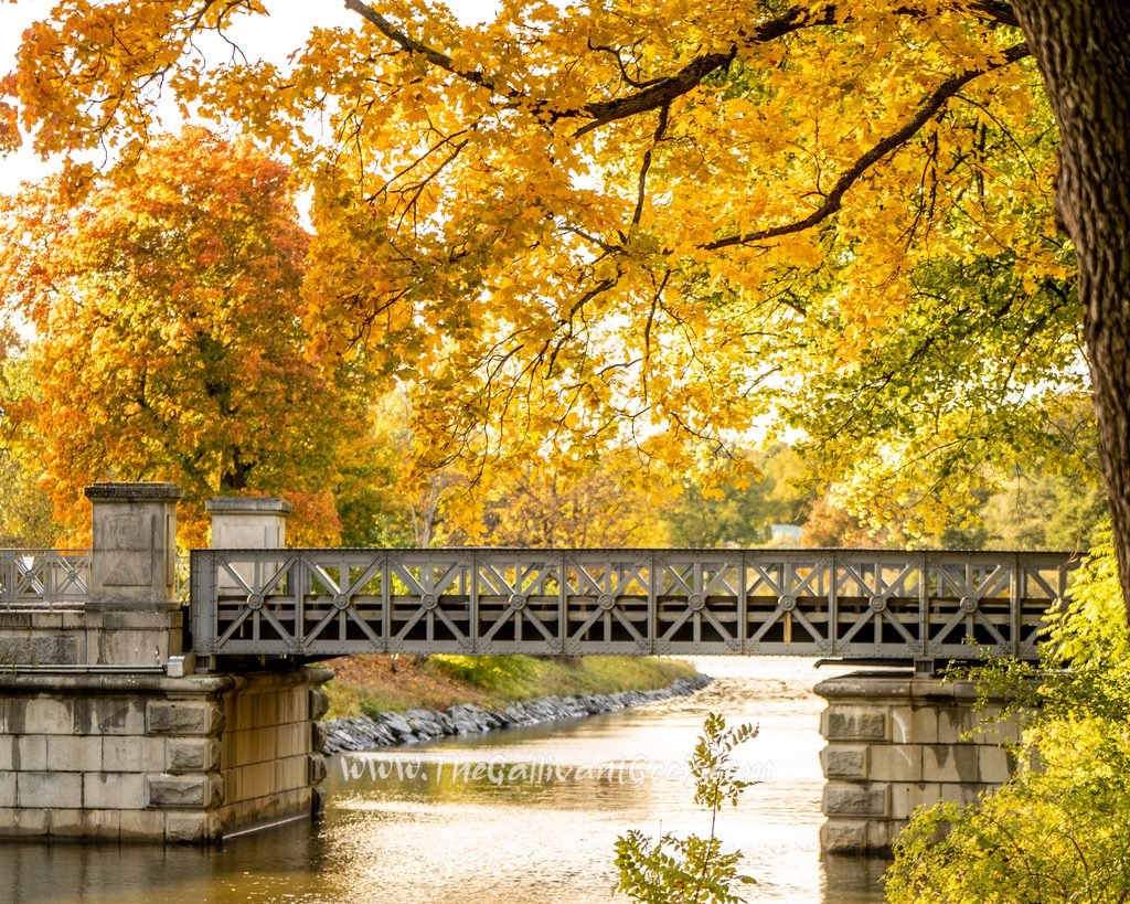 Stockholm in autumn: golden trees along the water on Djurgården