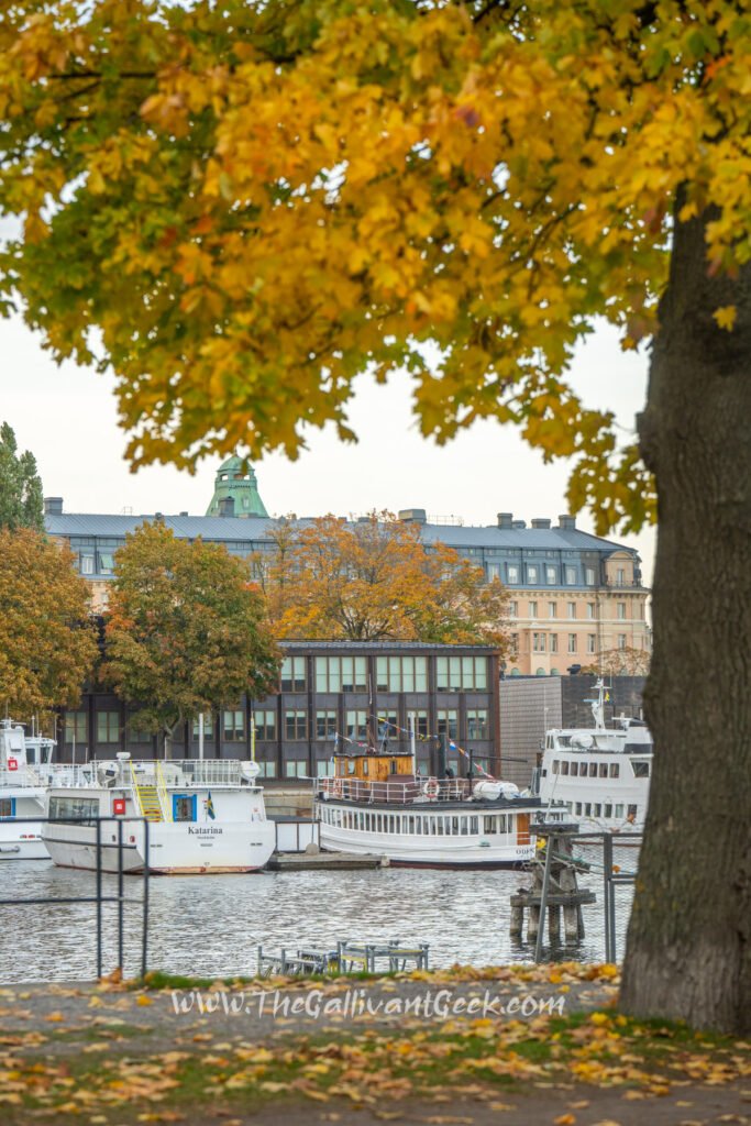 Fallen leaves on Skeppsholmen during autumn in Stockholm